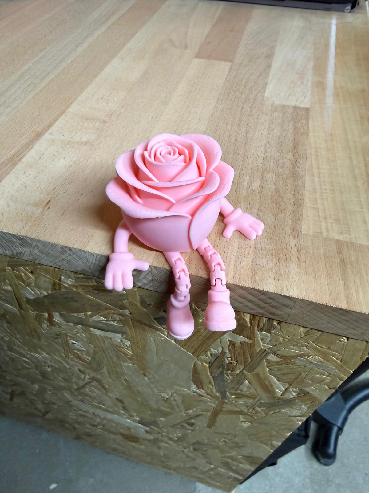 Rosenbuddy